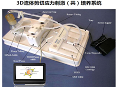 3D流体剪切应力(共)培养系统